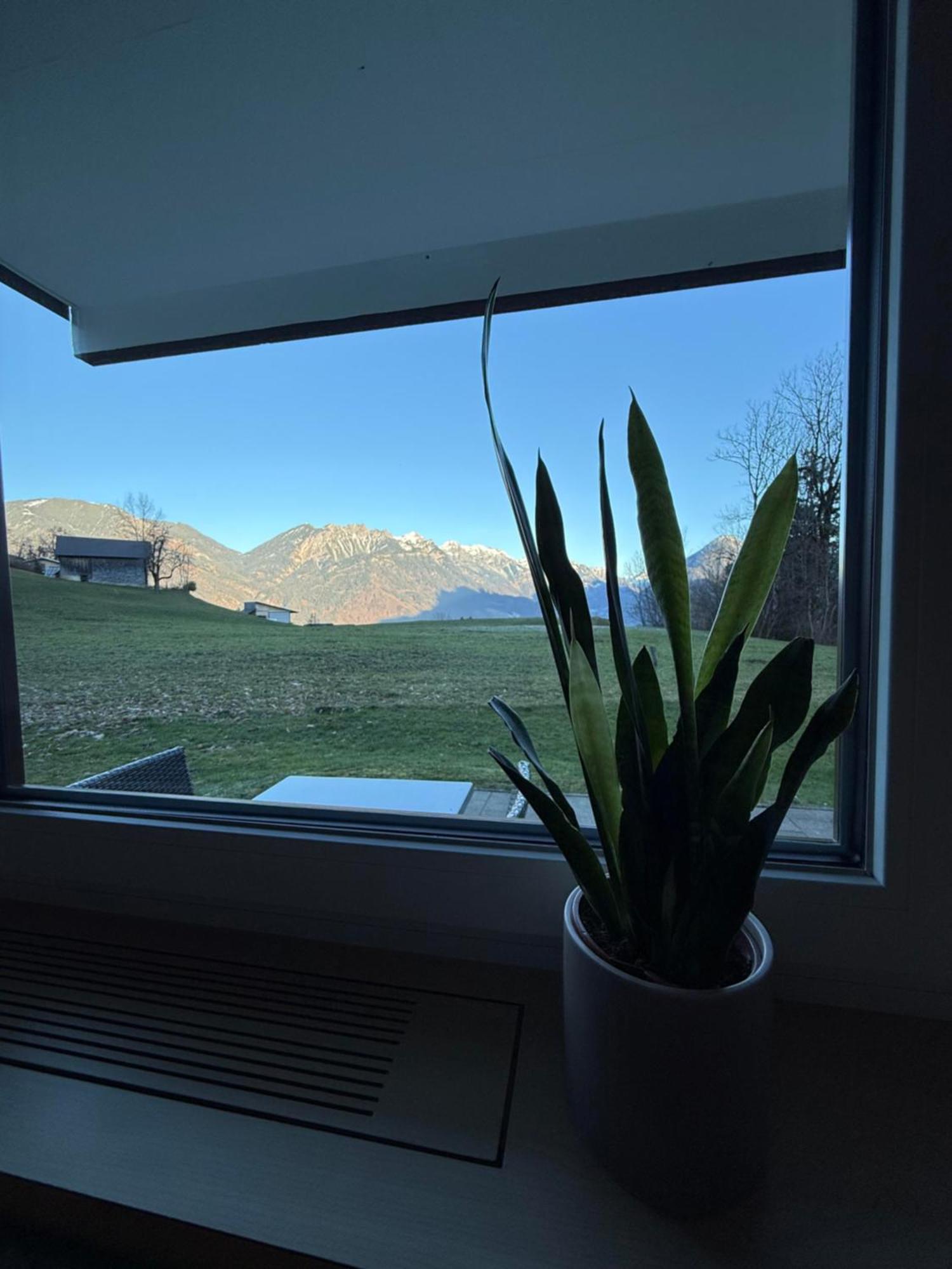 Bergnest Brandnertal Apartment Buerserberg Ngoại thất bức ảnh